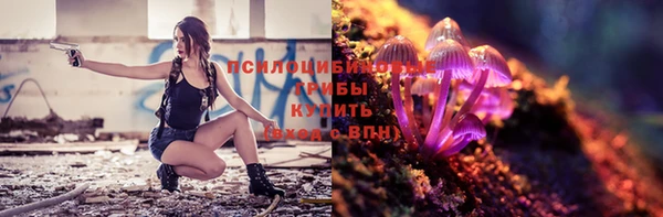 ГАЛЛЮЦИНОГЕННЫЕ ГРИБЫ Аркадак
