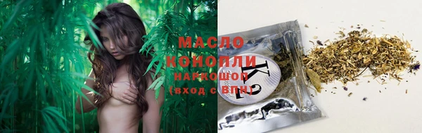 ГАЛЛЮЦИНОГЕННЫЕ ГРИБЫ Аркадак