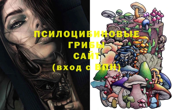 прущая мука Арсеньев
