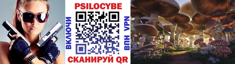 Купить где  Осташков  Галлюциногенные грибы GOLDEN TEACHER 