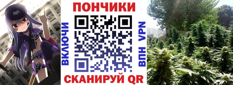 Бошки Шишки ГИДРОПОН  Купить где  Осташков 
